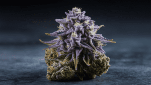 The Complete Hindu Kush Strain Review: Effects, Flavors & Medical Benefits